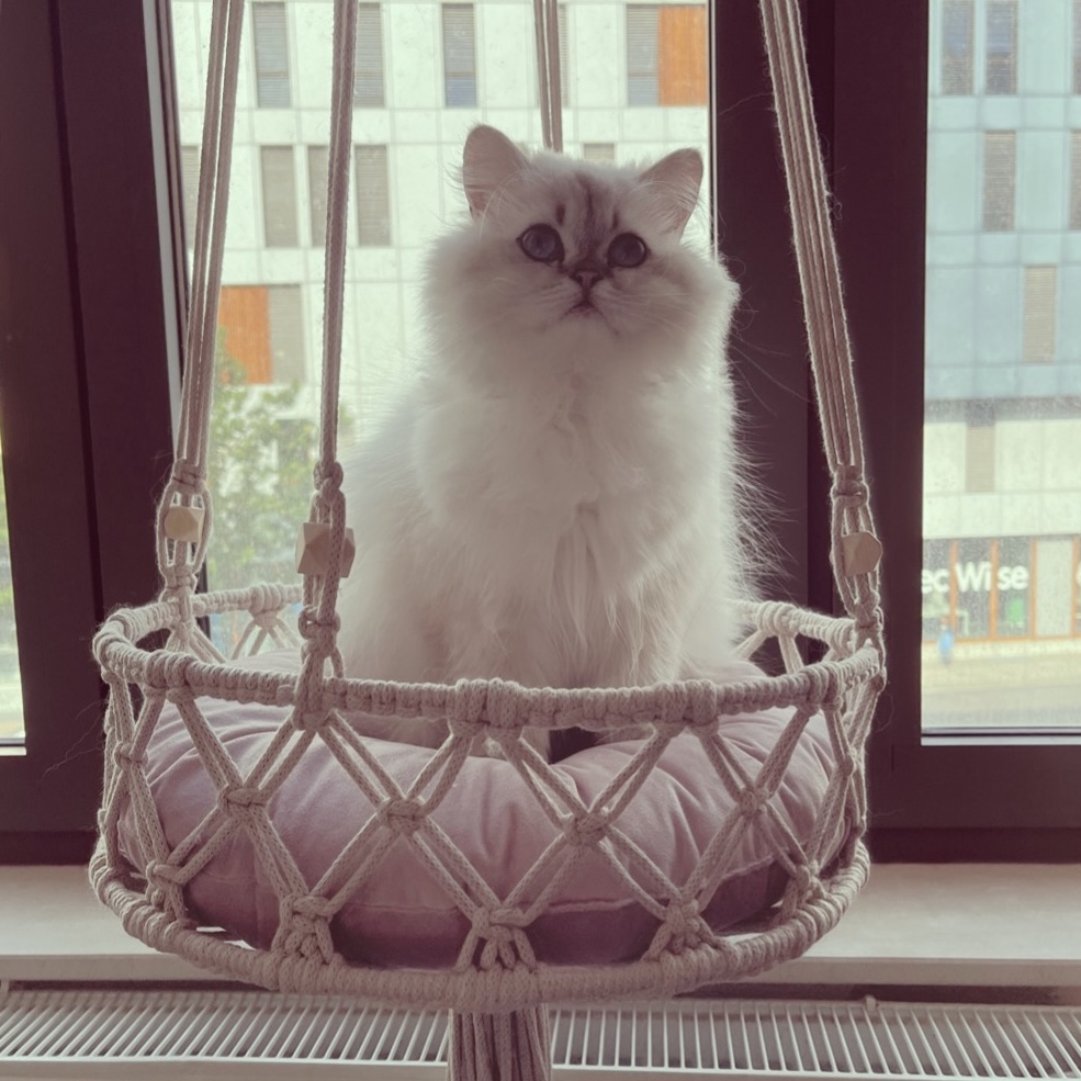 Macramé hangmat